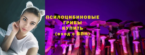 mdpv Арсеньев