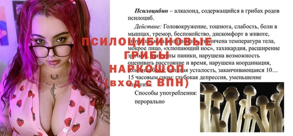 mdpv Арсеньев