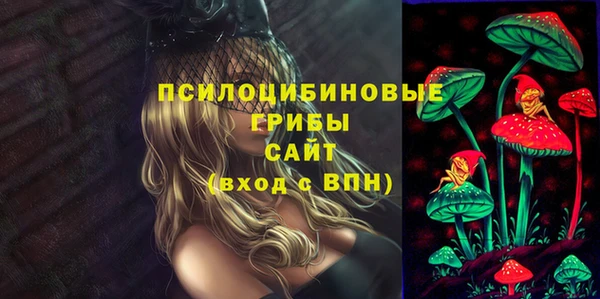 mdpv Арсеньев