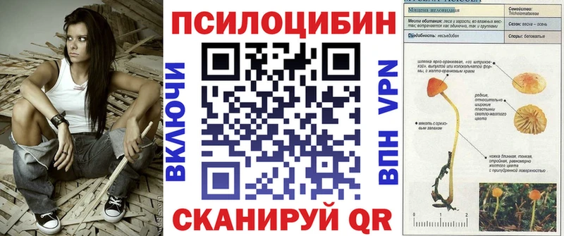 ссылка на мегу вход Белоярский Псилоцибиновые грибы мицелий
